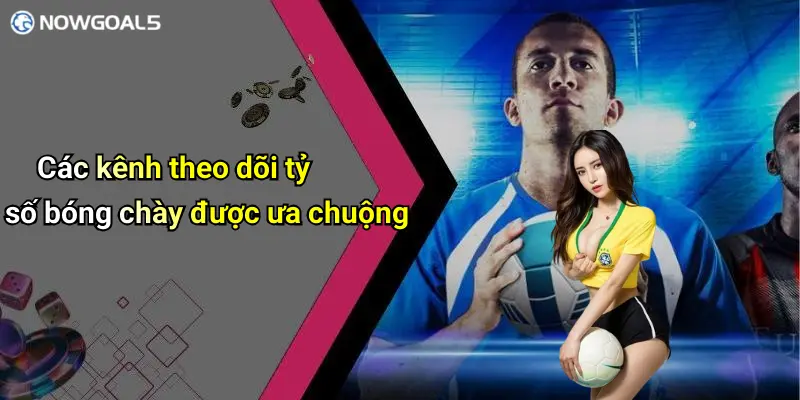 Các kênh theo dõi tỷ số bóng chày được ưa chuộng