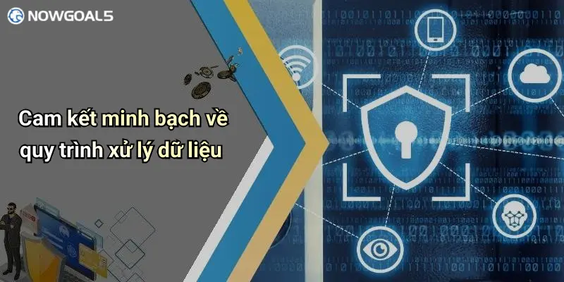 Cam kết minh bạch về quy trình xử lý dữ liệu