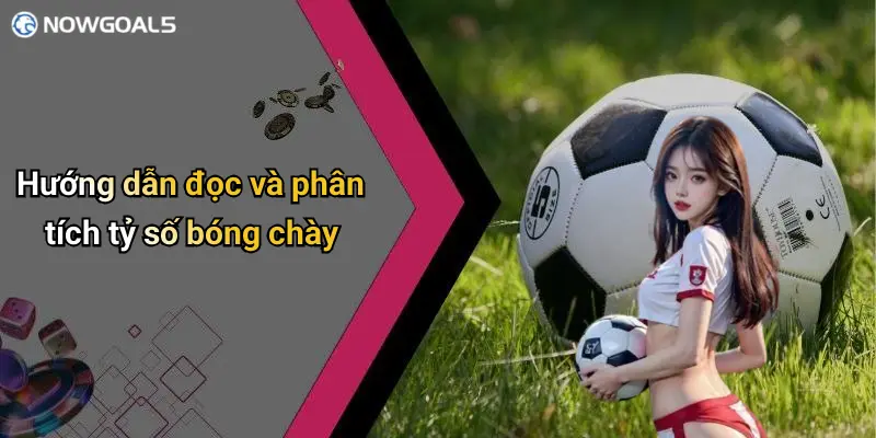 Hướng dẫn đọc và phân tích tỷ số bóng chày