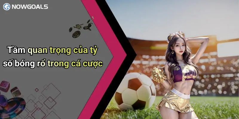 Tầm quan trọng của tỷ số bóng rổ trong cá cược