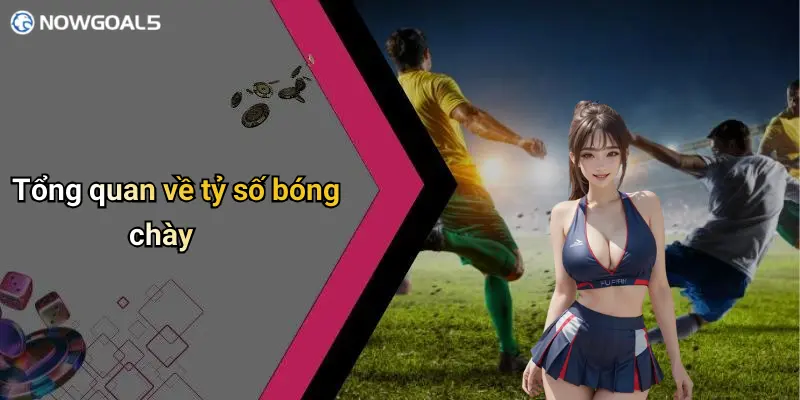 Tổng quan về tỷ số bóng chày