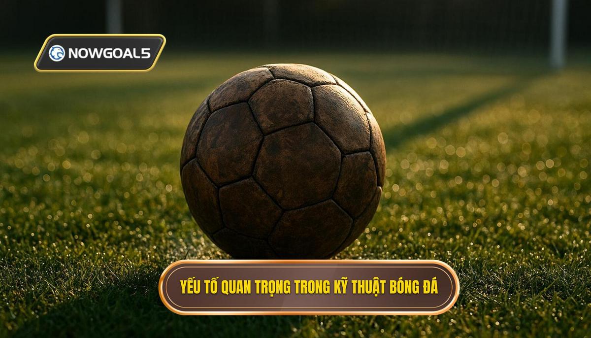 Các yếu tố then chốt tạo nên Kỹ thuật đánh chặn bóng hoàn hảo