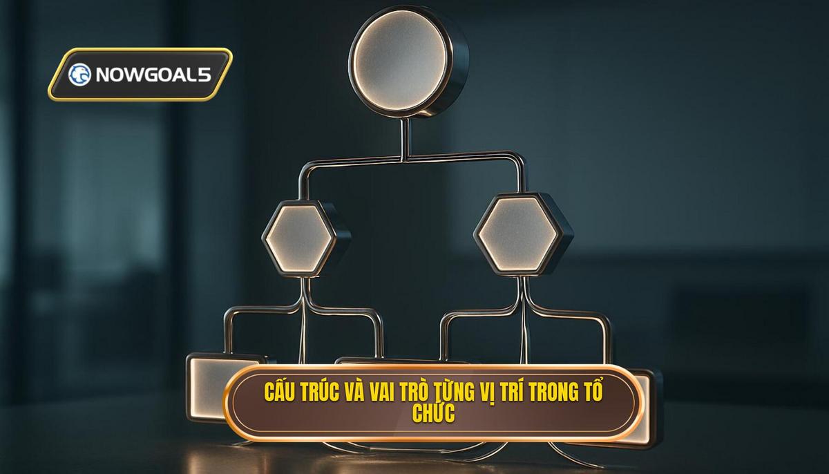 Cấu trúc nền tảng và vai trò chuyên biệt của từng vị trí