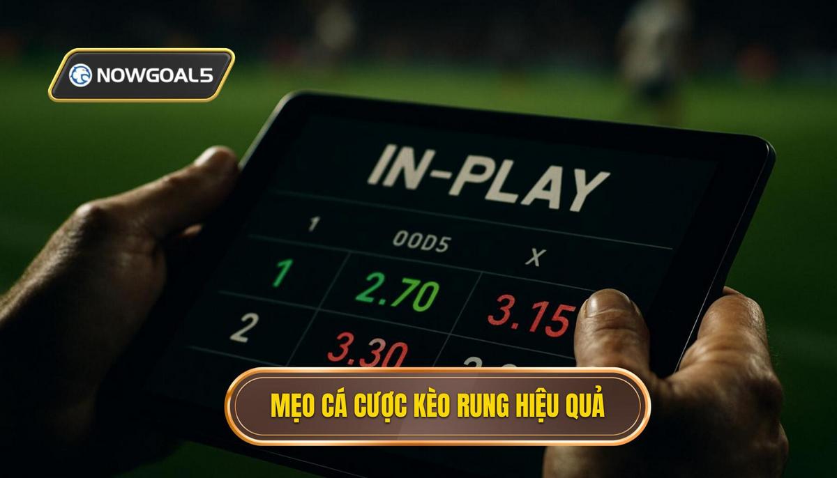 Phân Tích Chuyên Sâu Các Mẹo Cá Cược Kèo Rung Hiệu Quả
