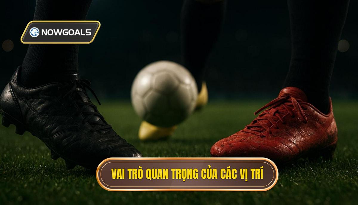 Vai trò then chốt của các vị trí
