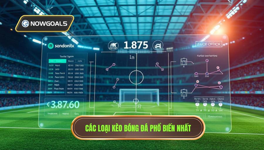 Các loại kèo bóng đá phổ biến nhất