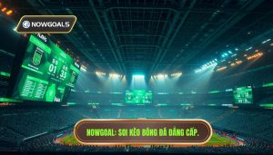 Nowgoal_ Soi kèo bóng đá đẳng cấp